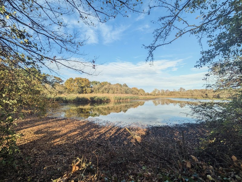 Chigborough Lakes Nature Reserve